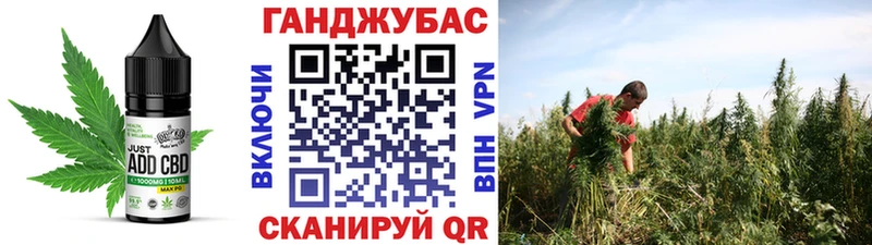 дарнет шоп  Губкин  Еда ТГК конопля 