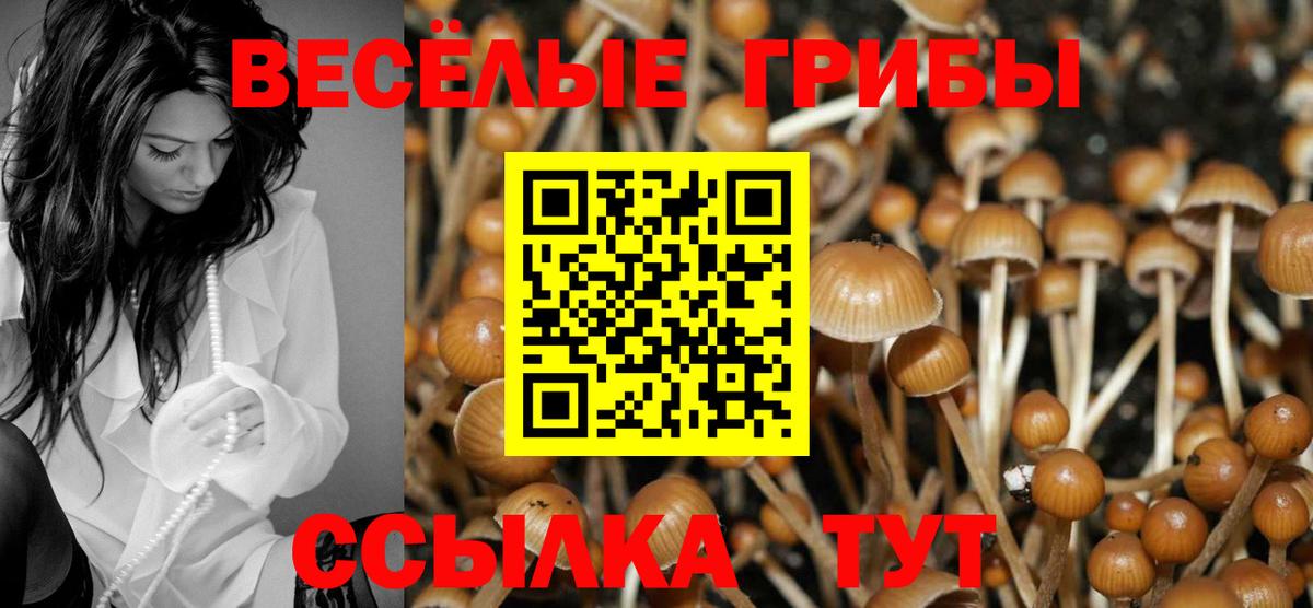 Губкин  Псилоцибиновые грибы мухоморы  наркошоп  Вход с VPN 