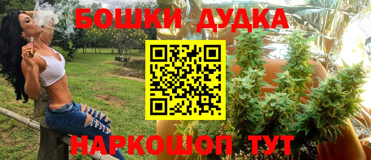 Губкин  Канабис планчик  Вход с VPN  Канабис ГИДРОПОН 